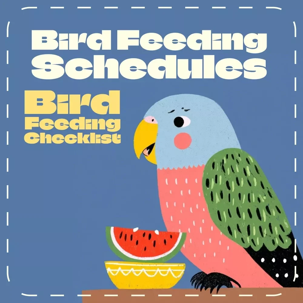 Bird Feeding Schedules Made Simple | Printable Bird Feeding Checklist | Digital Download for Daily Feeding Schedules for Birds
