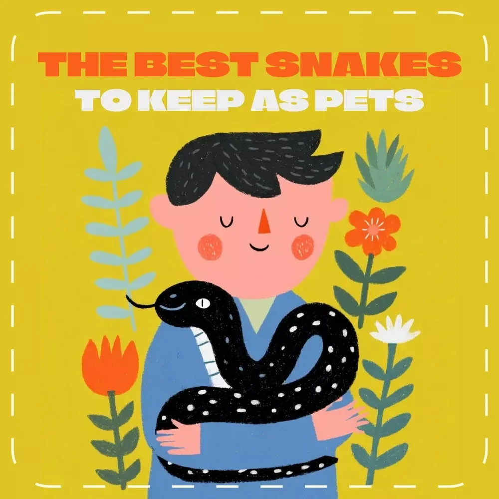 The Best Snakes to Keep as Pets – Printable Checklist for Beginners | Digital Download Guide for Reptile Lovers | Best Snakes to Have as Pets Reference Sheet