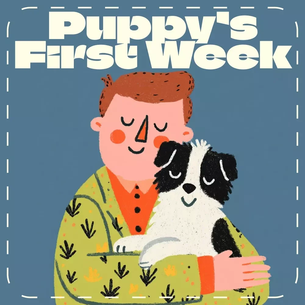 Puppy’s First Week: A Happy Start | New Dog Owner Guide | What to Do in the First Week with a Dog | Puppy Training & Routine eBook Download