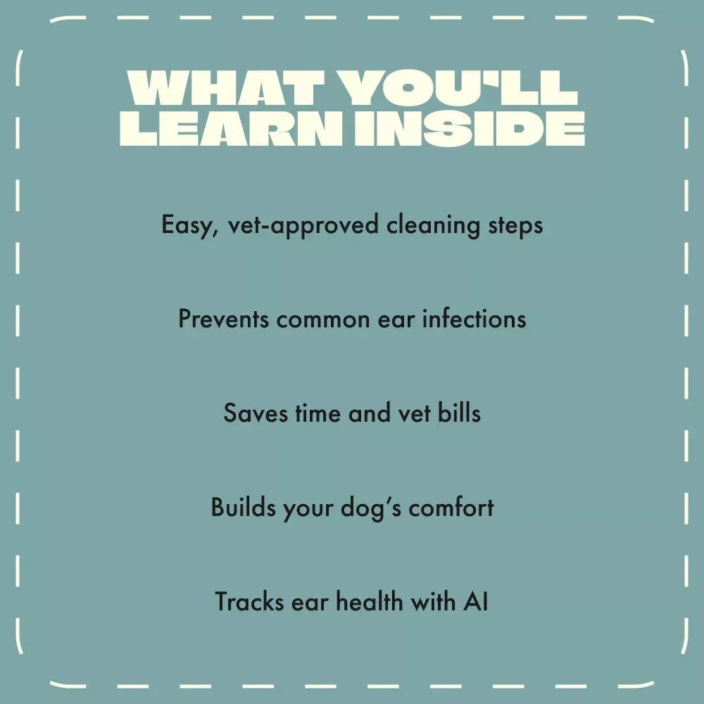 The Pet Owner’s Guide to Safe Dog Ear Cleaning | Printable Digital Guide for Cleaning Dog Ears Safely | Vet-Approved eBook for Pet Parents