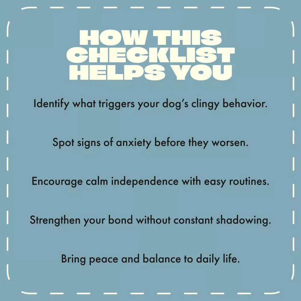 Why Your Dog Follows You Everywhere Checklist | Printable Pet Behavior Guide | Digital Download for Dog Owners | Why Does My Dog Follow Me Everywhere