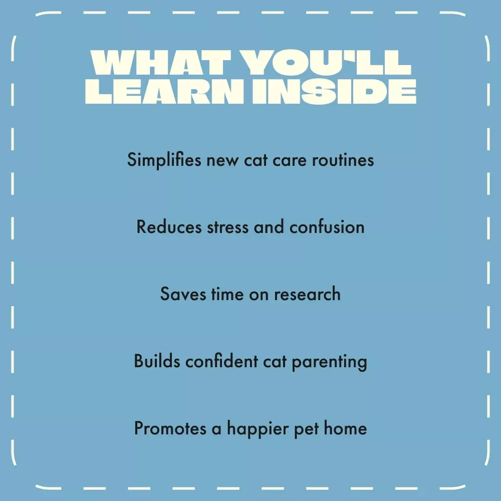 Essential Items for Every New Cat Owner | Printable Cat Care Guide, eBook & Checklist for Beginners | Digital Download for Pet Parents