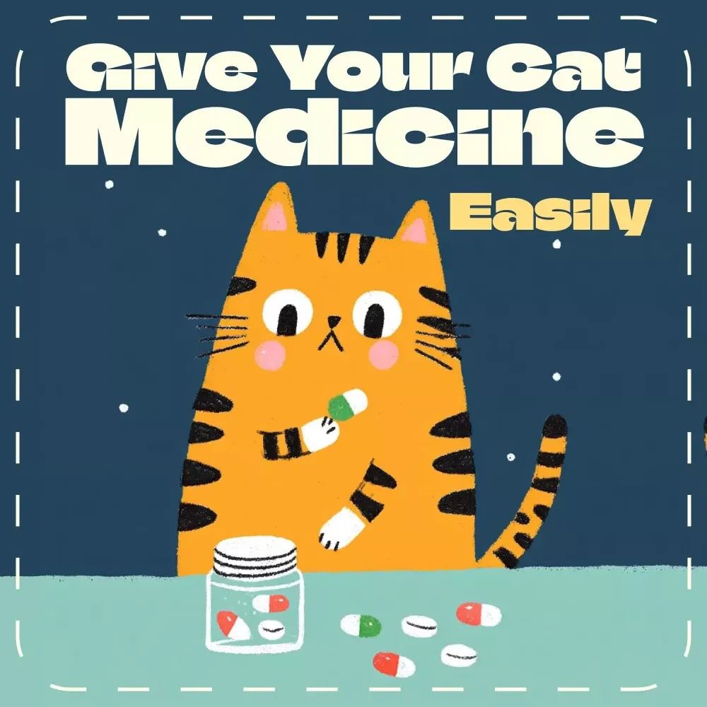 How to Give Your Cat Medicine Easily | eBook Guide for Cat Owners | Learn how to give a cat a pill without stress or scratches | Digital Download