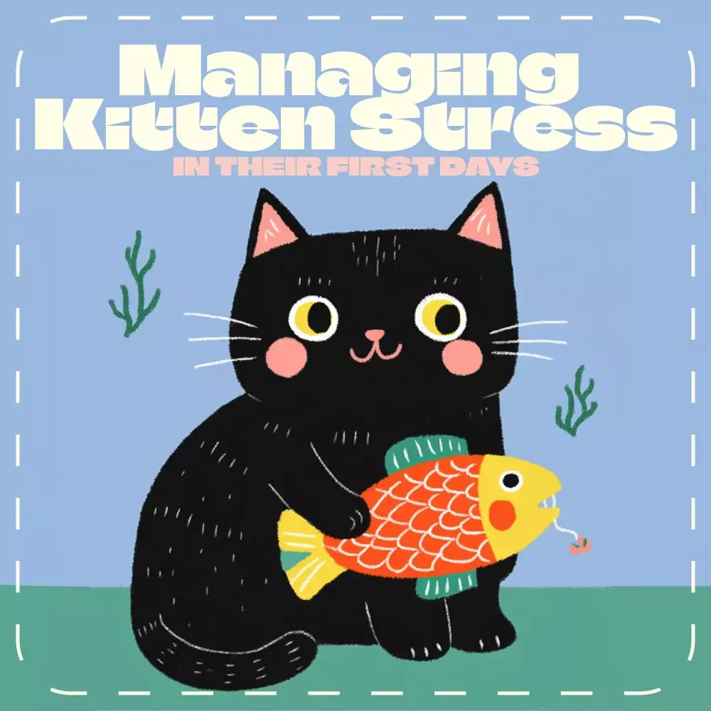 Calm & Curious: Managing Kitten Stress in Their First Days | Digital Guide for New Cat Owners | How to Manage Kitten Stress During First Days | Printable eBook for Gentle Socialization & Comfort