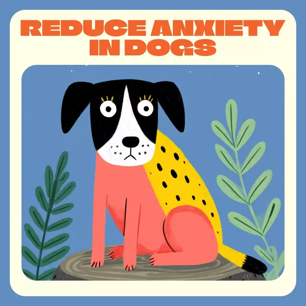 How to Reduce Anxiety in Dogs | Printable Checklist for Calmer, Happier Pets | Digital Download Guide for Dog Owners