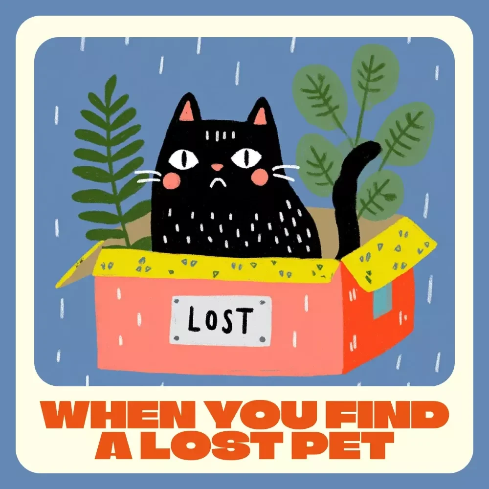 When You Find a Lost Pet | What to Do When You Find a Lost Pet eBook | Step-by-Step Digital Guide to Helping and Reuniting Lost Animals | Instant Download PDF