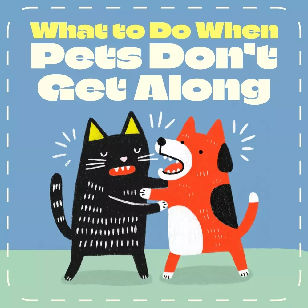 What to Do When Your Pets Don’t Get Along – Printable Pet Harmony Checklist | Step-by-Step Digital Guide for Multi-Pet Homes | Instant Download for Pet Owners