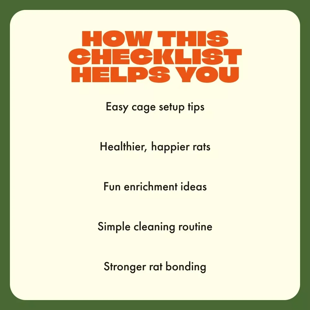 Rat Paradise Setup Checklist | Printable Rat Cage Setup and Enrichment Guide for Happy, Healthy Pet Rats | Digital Download for Rat Owners
