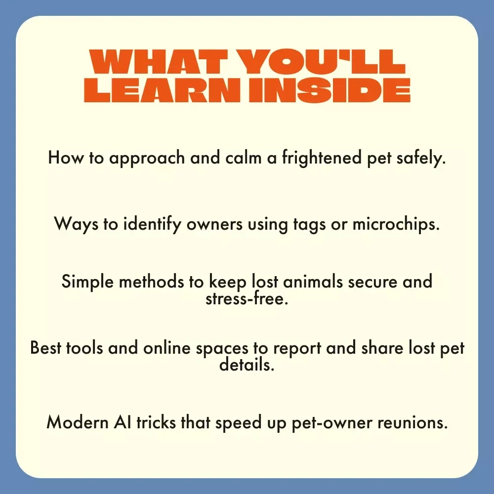 When You Find a Lost Pet | What to Do When You Find a Lost Pet eBook | Step-by-Step Digital Guide to Helping and Reuniting Lost Animals | Instant Download PDF