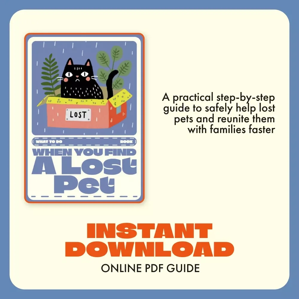 When You Find a Lost Pet | What to Do When You Find a Lost Pet eBook | Step-by-Step Digital Guide to Helping and Reuniting Lost Animals | Instant Download PDF