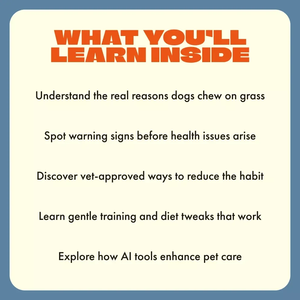 Dog Eats Grass What It Means | Why Does My Dog Eat Grass Guide | Pet Behavior eBook for Dog Owners | Vet-Approved Digital Download for Understanding and Reducing Grass-Eating Habits