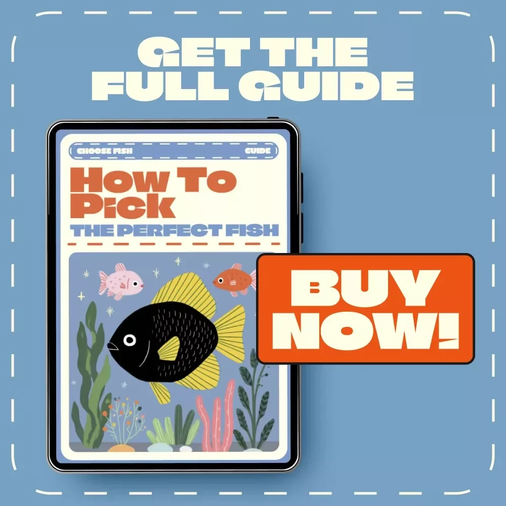 How to Pick the Perfect Fish – Ultimate Digital Guide for Aquarium Lovers | Learn how to choose fish species, create balanced tanks & avoid common mistakes
