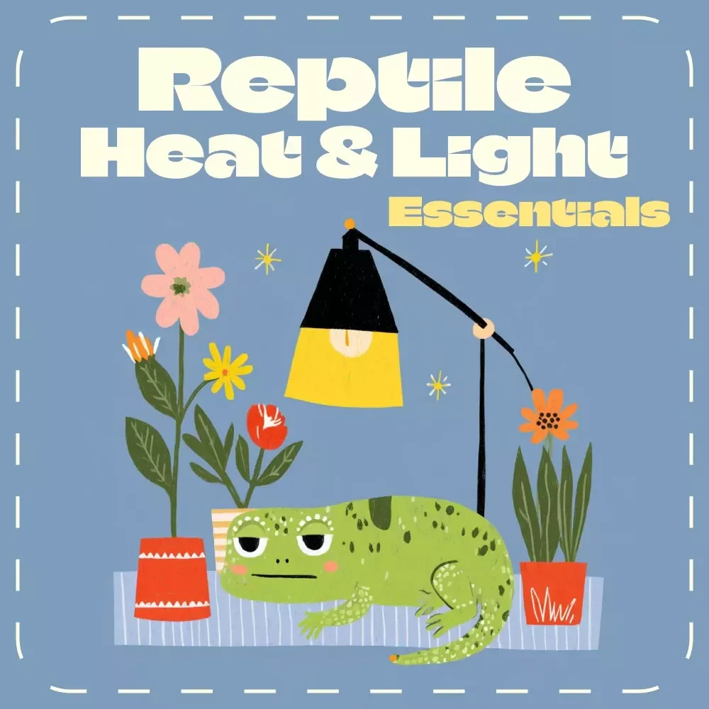 Reptile Heat & Light Essentials | Digital Reptile Care Guide | Temperature and Lighting Care for Reptiles | eBook for Beginners & Enthusiasts