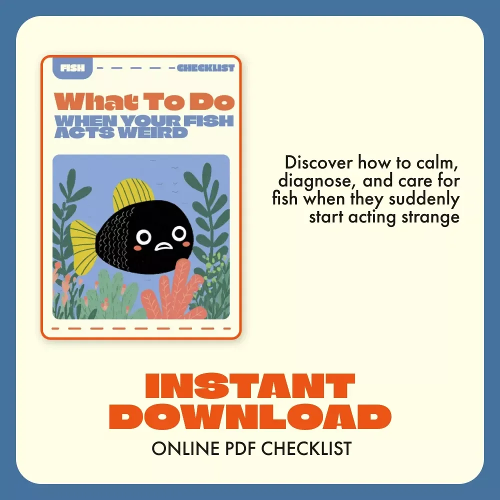 What to Do When Your Fish Acts Weird | Printable Aquarium Care Checklist | Digital Download for Pet Fish Owners | Guide to Why Is My Fish Acting Strange