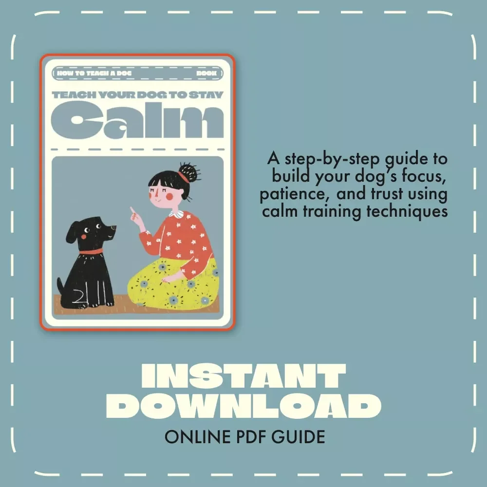 Teach Your Dog to Stay Calm | Dog Training eBook for Beginners | Step-by-Step Guide on How to Teach a Dog to Stay | Digital Download Pet Training Manual