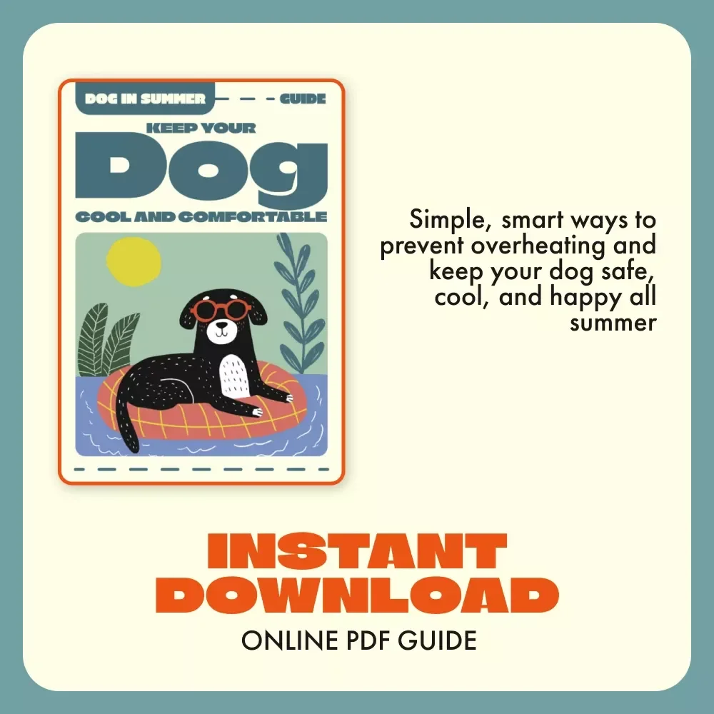 Keep Your Dog Cool and Comfortable | Summer Pet Care Guide | Best Way to Keep Your Dog Cool in Summer | Digital Download for Pet Owners