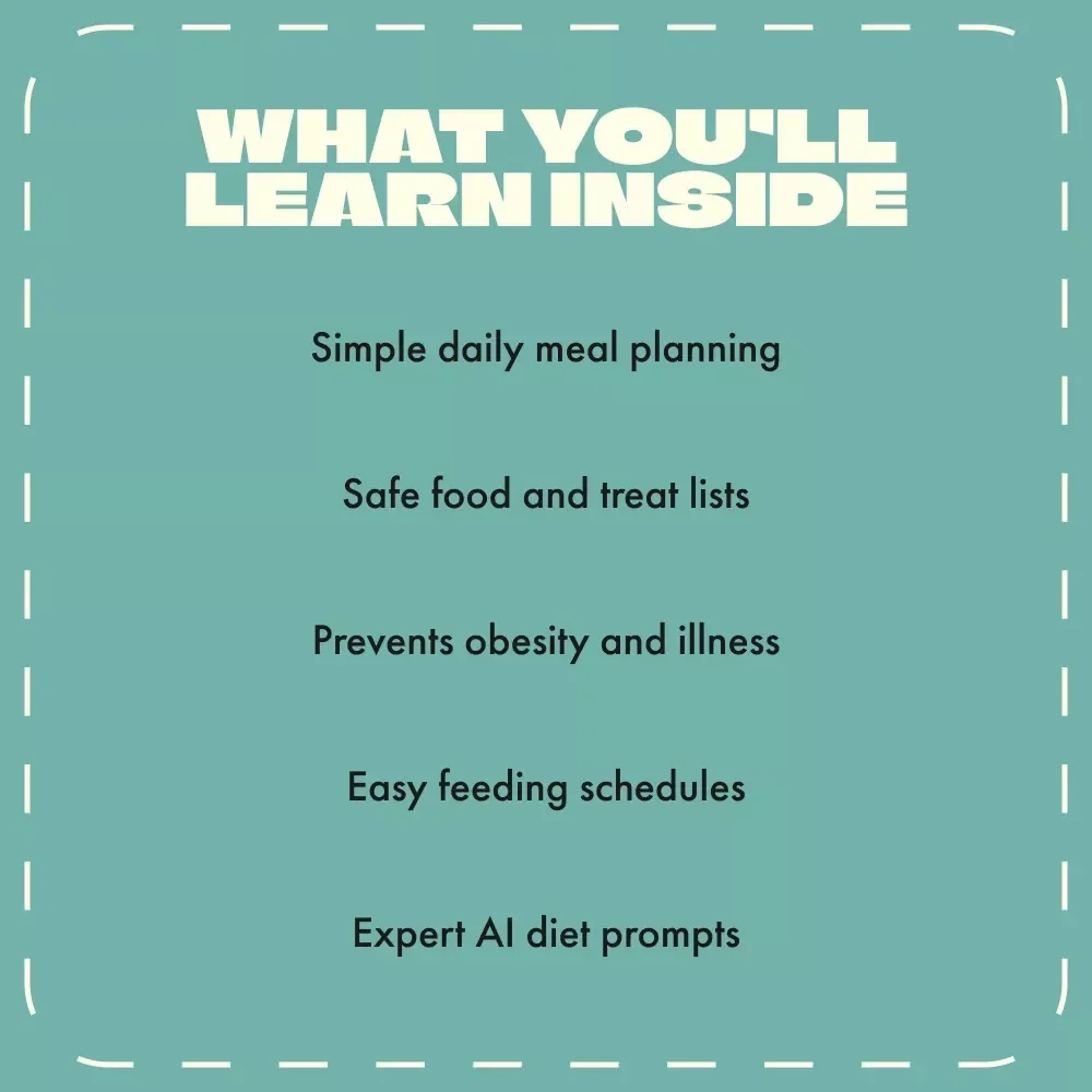 Essential Rats Diet and Feeding Tips eBook | Complete Rat Nutrition Guide | Healthy Rat Meal Plans, Feeding Schedules & Treat Ideas | Digital Download for Pet Owners