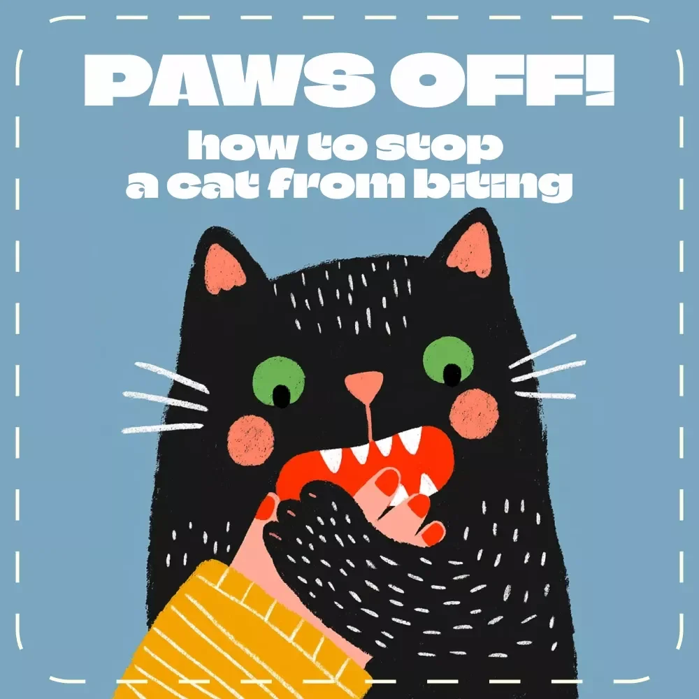 Paws Off! A Friendly Guide to Stop Your Cat from Biting | How to Stop a Cat from Biting | Cat Behavior Training eBook for Pet Owners
