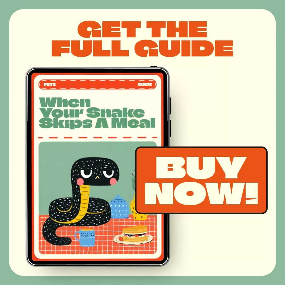 When Your Snake Skips a Meal – Ultimate Guide for Snake Owners | Why Is My Snake Refusing Food? Digital Feeding & Care Handbook