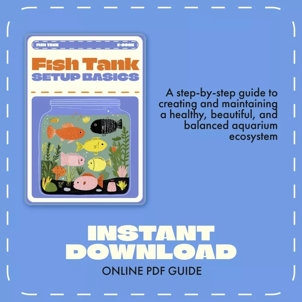 Fish Tank Setup Basics | Beginner’s Guide eBook for Freshwater & Saltwater Aquariums | Digital Download Aquarium Care & Setup Tutorial