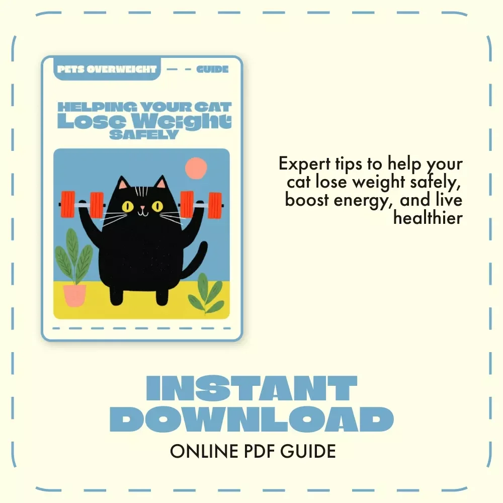 Helping Your Cat Lose Weight Safely | What to Do If Your Cat Is Overweight | Cat Weight Loss eBook & Guide for Pet Parents
