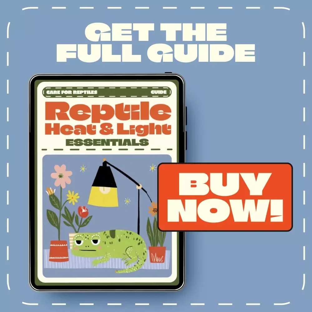 Reptile Heat & Light Essentials | Digital Reptile Care Guide | Temperature and Lighting Care for Reptiles | eBook for Beginners & Enthusiasts