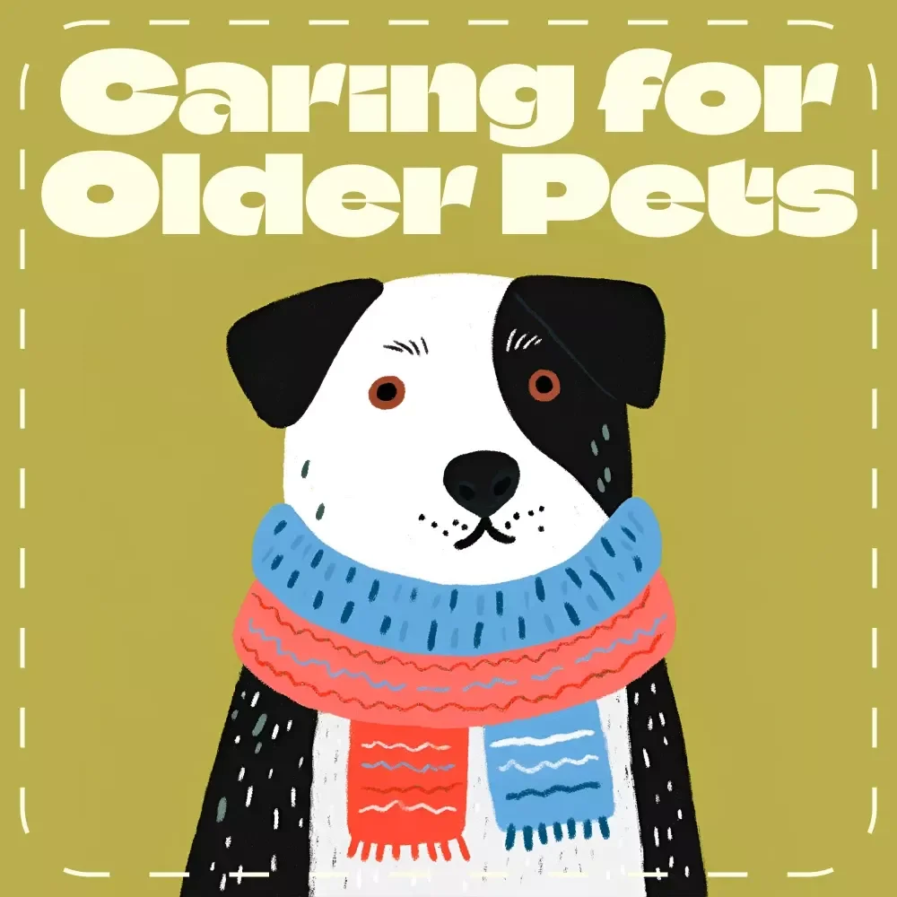 Caring for Older Pets Guide | Digital Download for Pet Owners | How to Plan for Extra Care for Older Pets | Senior Pet Care eBook with AI Tools & Wellness Tips