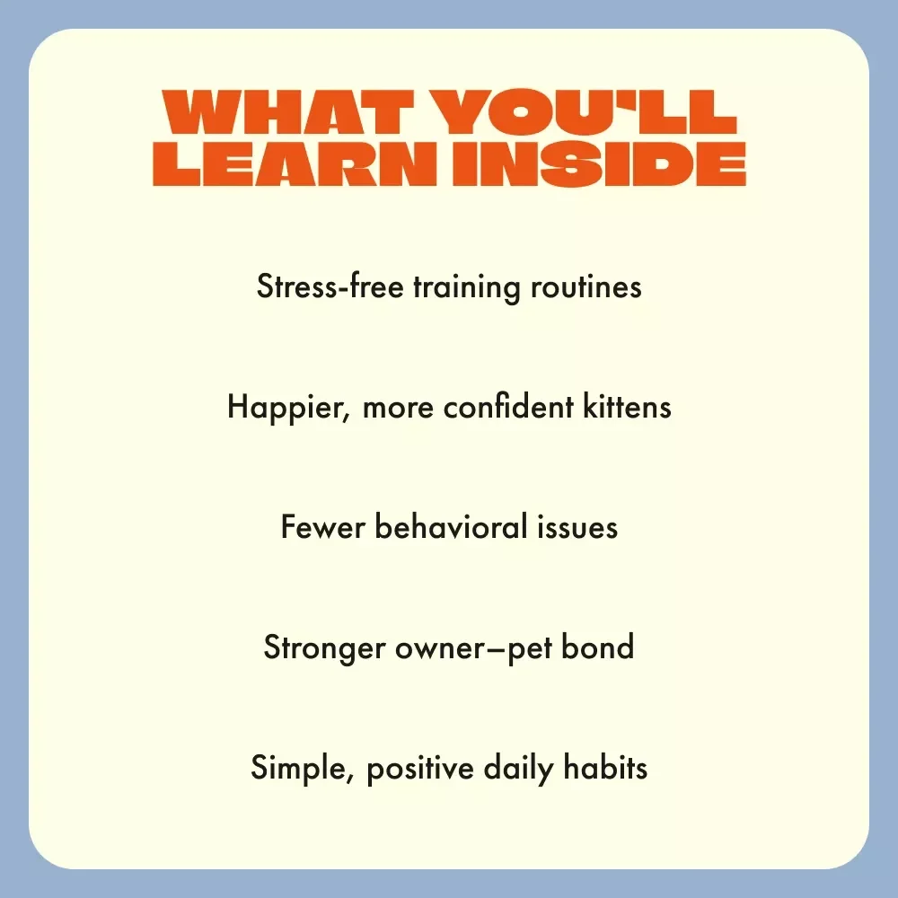 Pawsitive Training: Gentle Ways to Raise Happy Kittens | How to Train Kittens Gently | Kitten Care eBook & Positive Reinforcement Guide for New Cat Owners