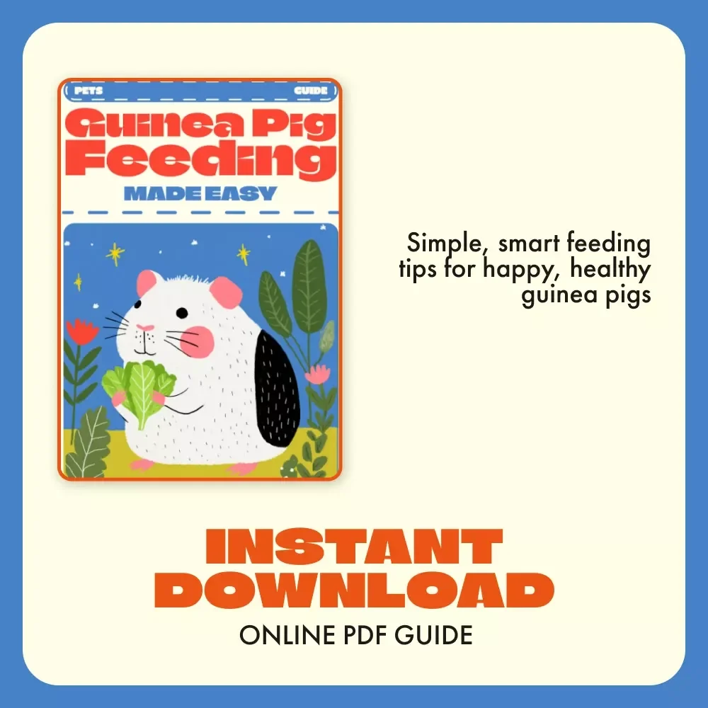 Guinea Pig Feeding Made Easy | Complete Guinea Pig Feeding Schedule Guide for Happy, Healthy Pets | Printable Digital Download for Guinea Pig Owners