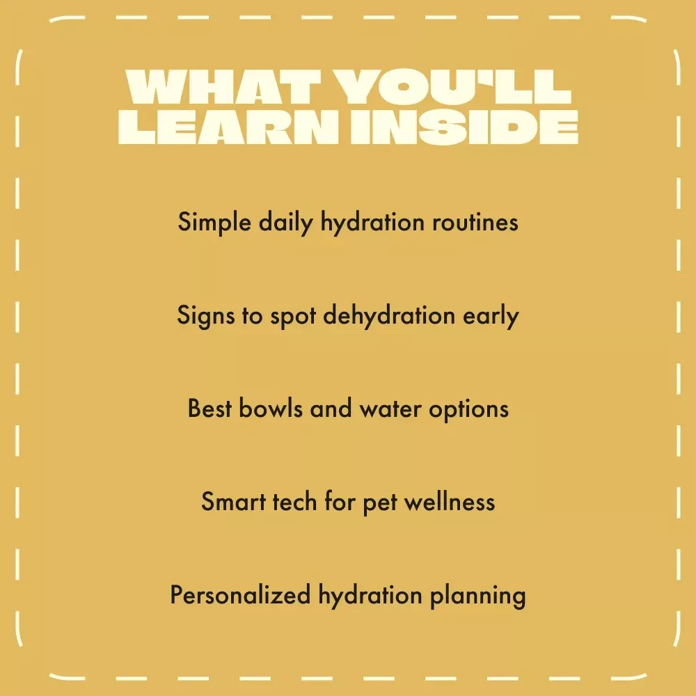 Sip Smart: The Ultimate Guide to Keeping Your Pet Hydrated | Digital Pet Care eBook for Dog & Cat Owners | Best Way to Keep Your Pet Hydrated | Printable Pet Wellness Guide