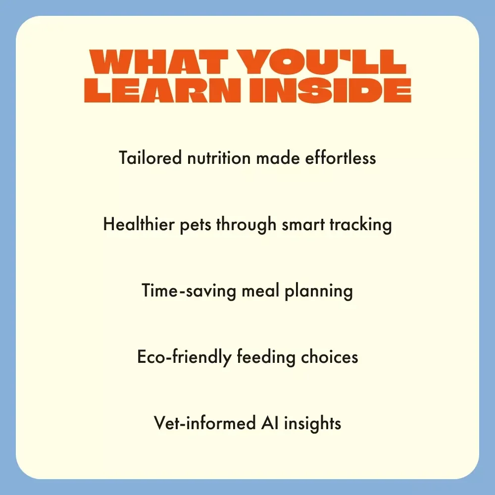 How AI Can Help You Build the Perfect Feeding Plan for Your Pet | AI-Powered Pet Nutrition eBook | Learn how to use ai to create a custom feeding plan | Smart Pet Feeding Guide for Personalized Nutrition