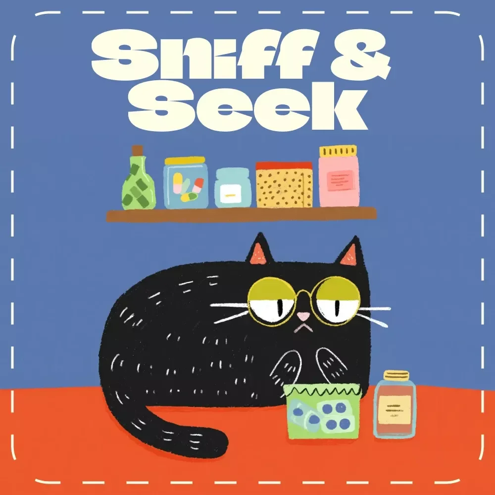 Sniff & Seek: Fun Scent Games to Enrich Your Cat’s World | Cat Enrichment eBook | Feline Scent Play Guide | Interactive Cat Activities & DIY Scent Games for Indoor Cats
