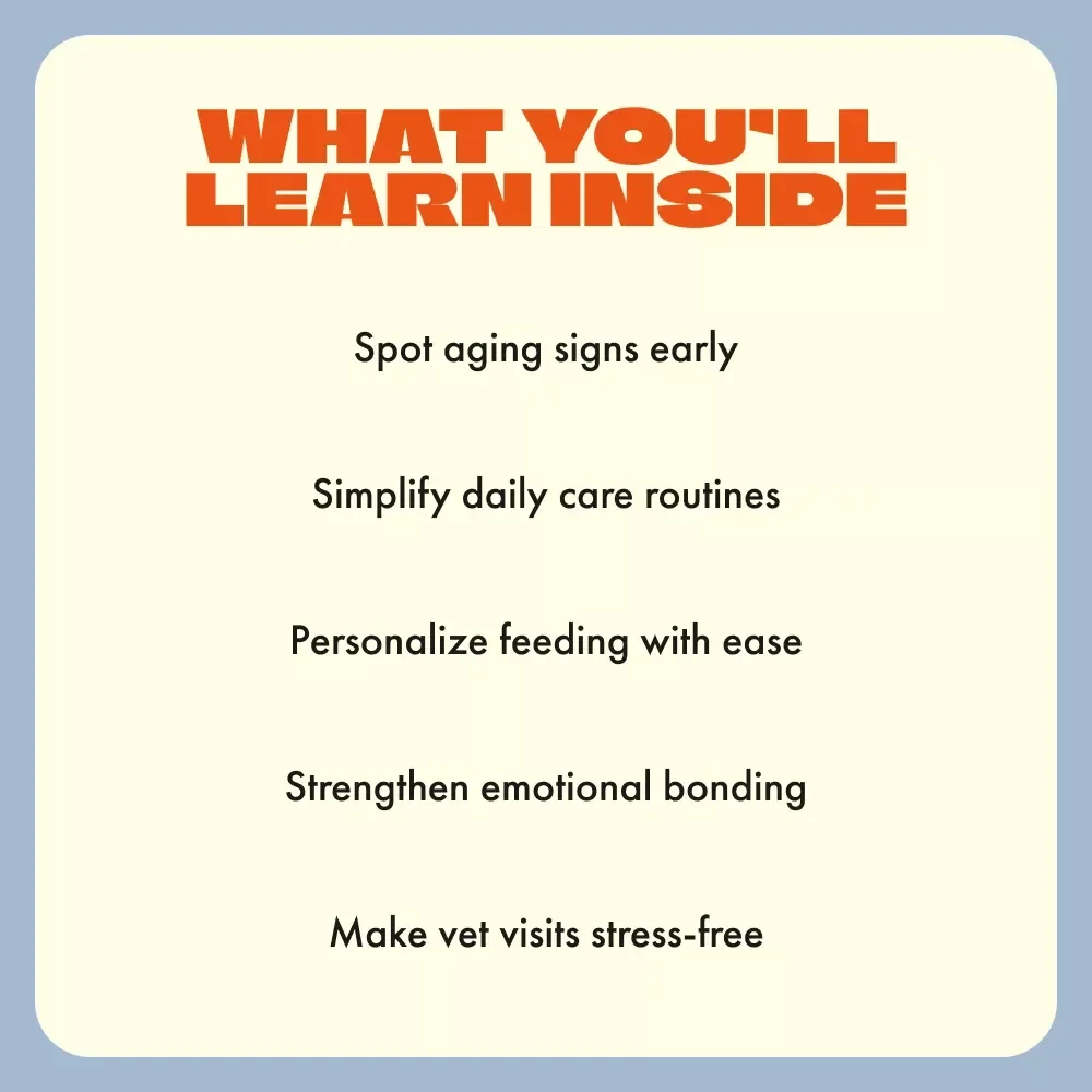A Gentle Guide to Senior Cat Care | Digital Download eBook for Loving Cat Owners | Senior Cat Care Tips for Nutrition, Comfort & Emotional Wellbeing