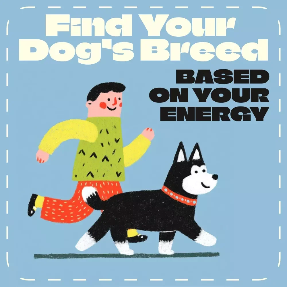 Find Your Dog’s Breed Based on Your Energy | Digital Dog Breed Matching Guide | Printable eBook for Pet Lovers, AI-Powered Breed Selector, Lifestyle Compatibility Checklist