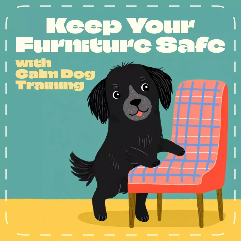 Keep Your Furniture Safe with Calm Dog Training | Stop Dog Chewing Guide | Digital Download eBook on How to Stop a Dog from Chewing Furniture