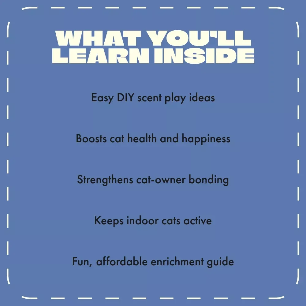 Sniff & Seek: Fun Scent Games to Enrich Your Cat’s World | Cat Enrichment eBook | Feline Scent Play Guide | Interactive Cat Activities & DIY Scent Games for Indoor Cats