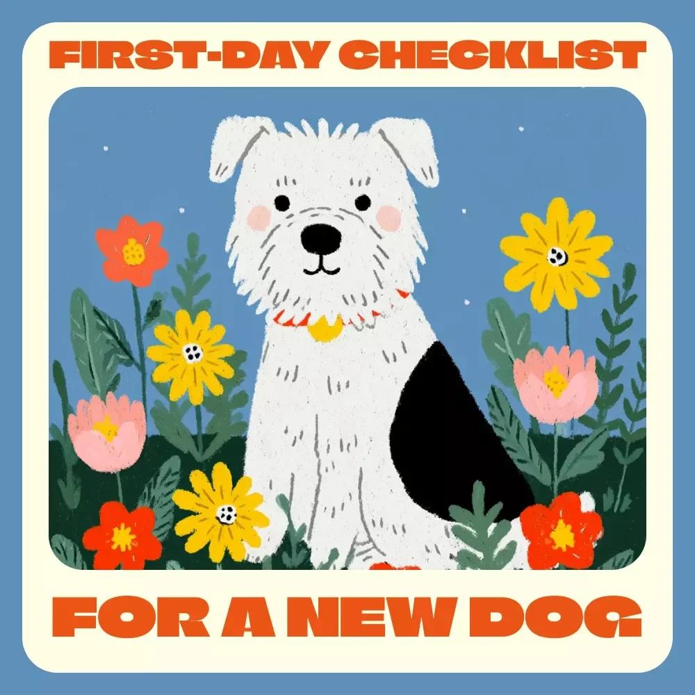 First-Day Checklist for a New Dog | Printable Pet Owner Guide | Digital Download for New Puppy Parents | Step-by-Step First Day Dog Care Routine