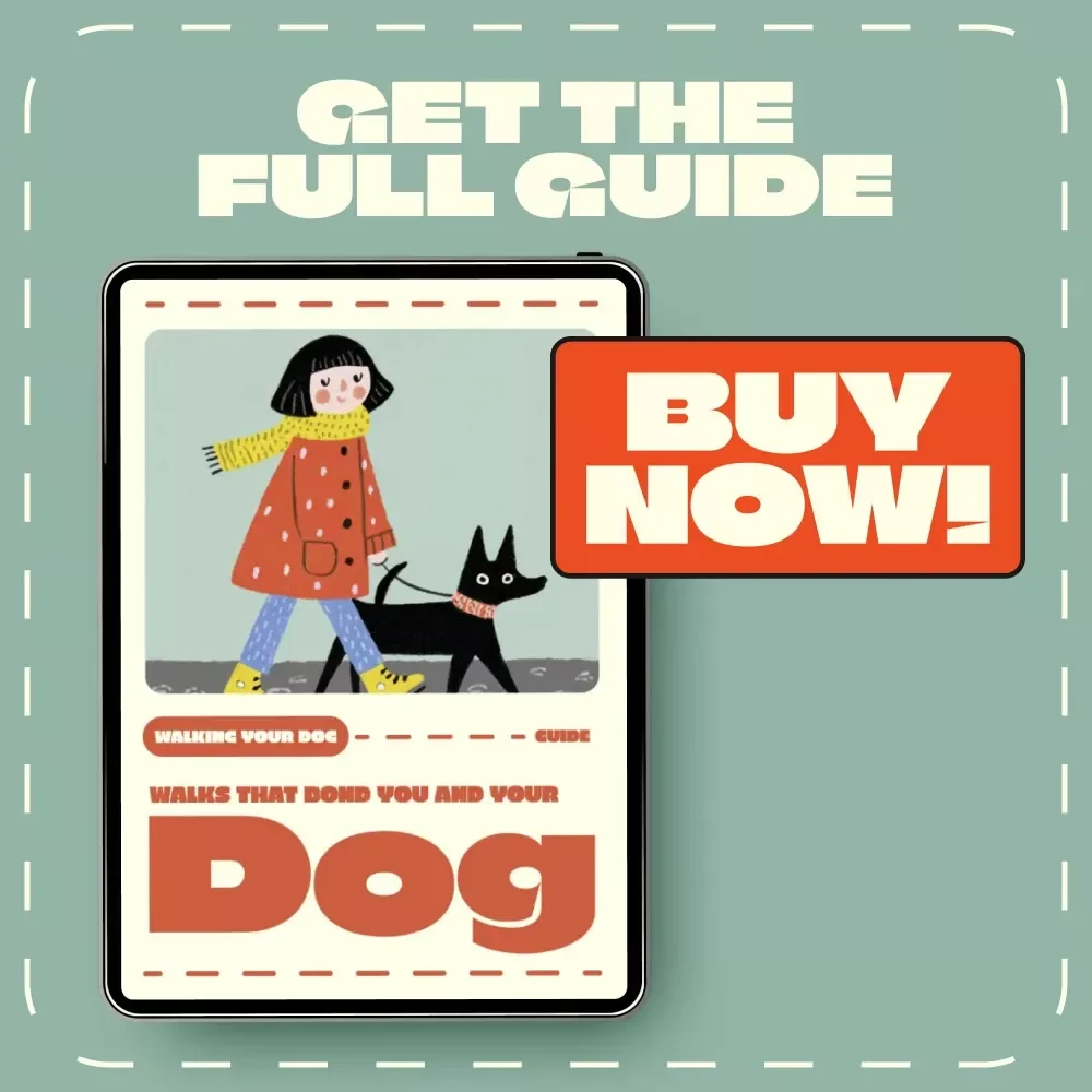Walks That Bond You and Your Dog | Digital Dog Training Guide for Better Walks | Best Way to Leash Train a Dog Step-by-Step eBook for Building Trust and Calm Control