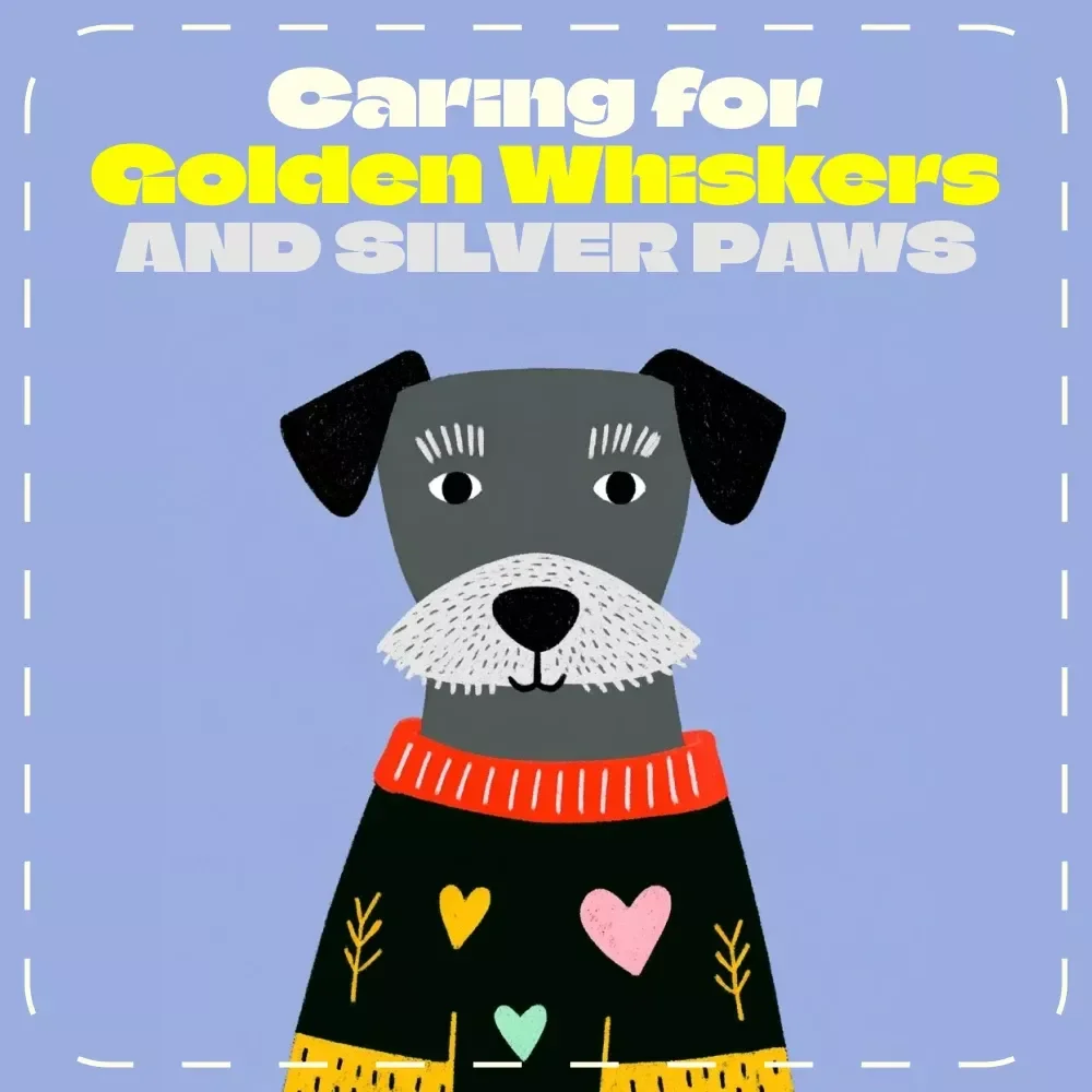 Caring for Golden Whiskers and Silver Paws – Senior Pet Care Checklist | Digital Download for How to Help Aging Pets Stay Healthy | Vet-Approved Guide for Pet Owners