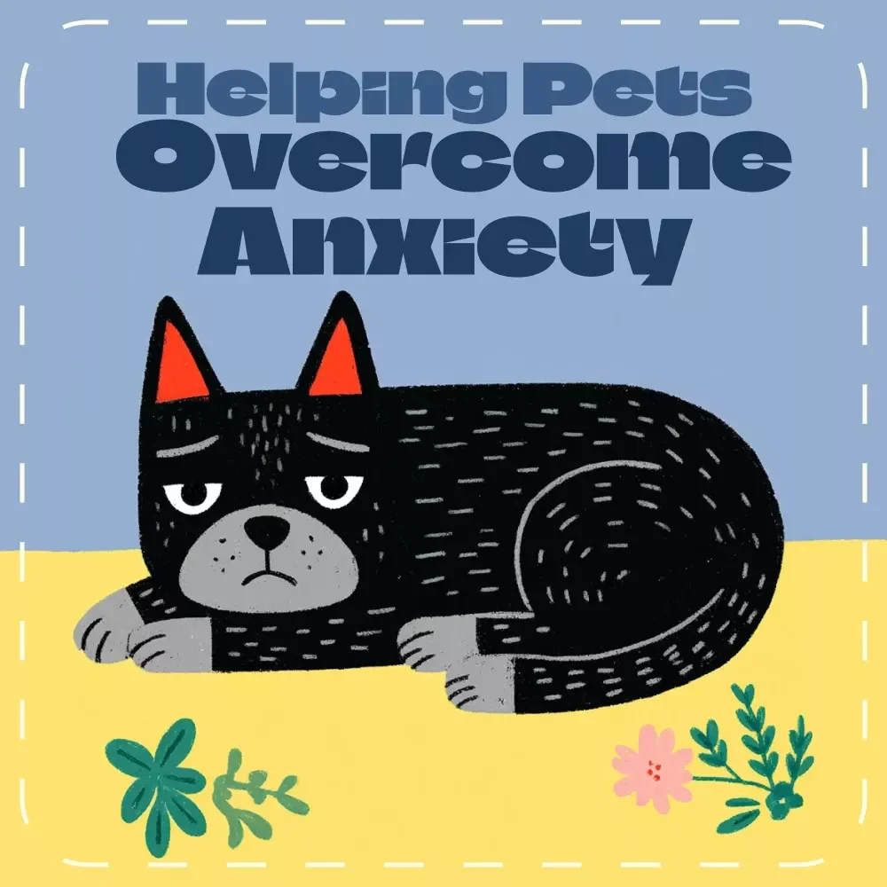 Calm Companions: Your Guide to Helping Pets Overcome Anxiety | Gentle Tips for Pets with Anxiety | Digital Download Guide for Pet Owners