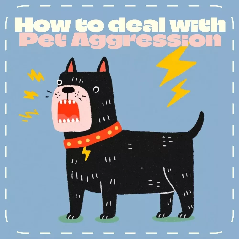 Understanding and Managing Pet Aggression | Comprehensive eBook on How to Deal with Pet Aggression | Digital Download Guide for Pet Owners and Trainers