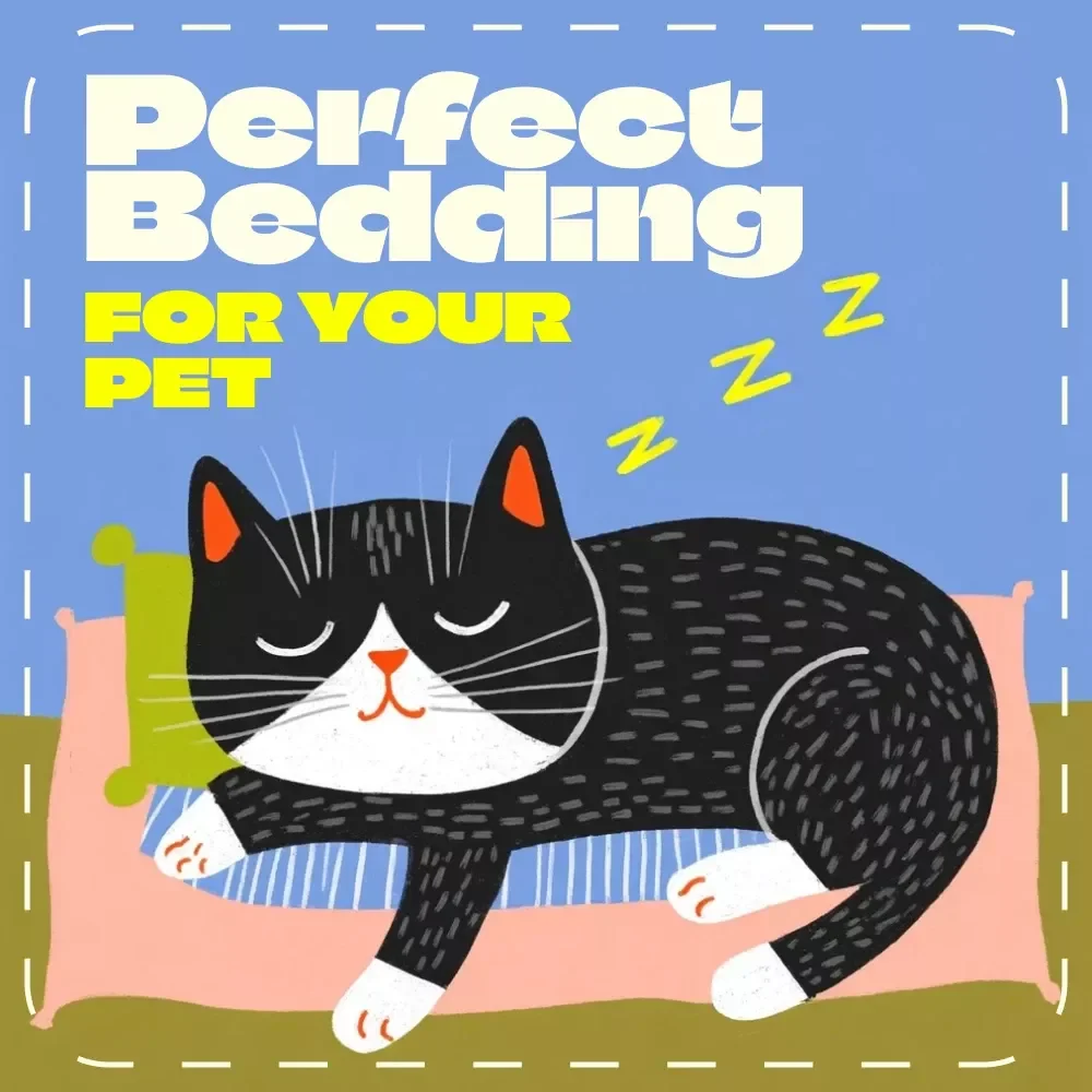 Choosing the Perfect Bedding for Your Pet | Digital Guide for Pet Owners | How to Choose the Right Bedding for Dogs, Cats & Small Pets
