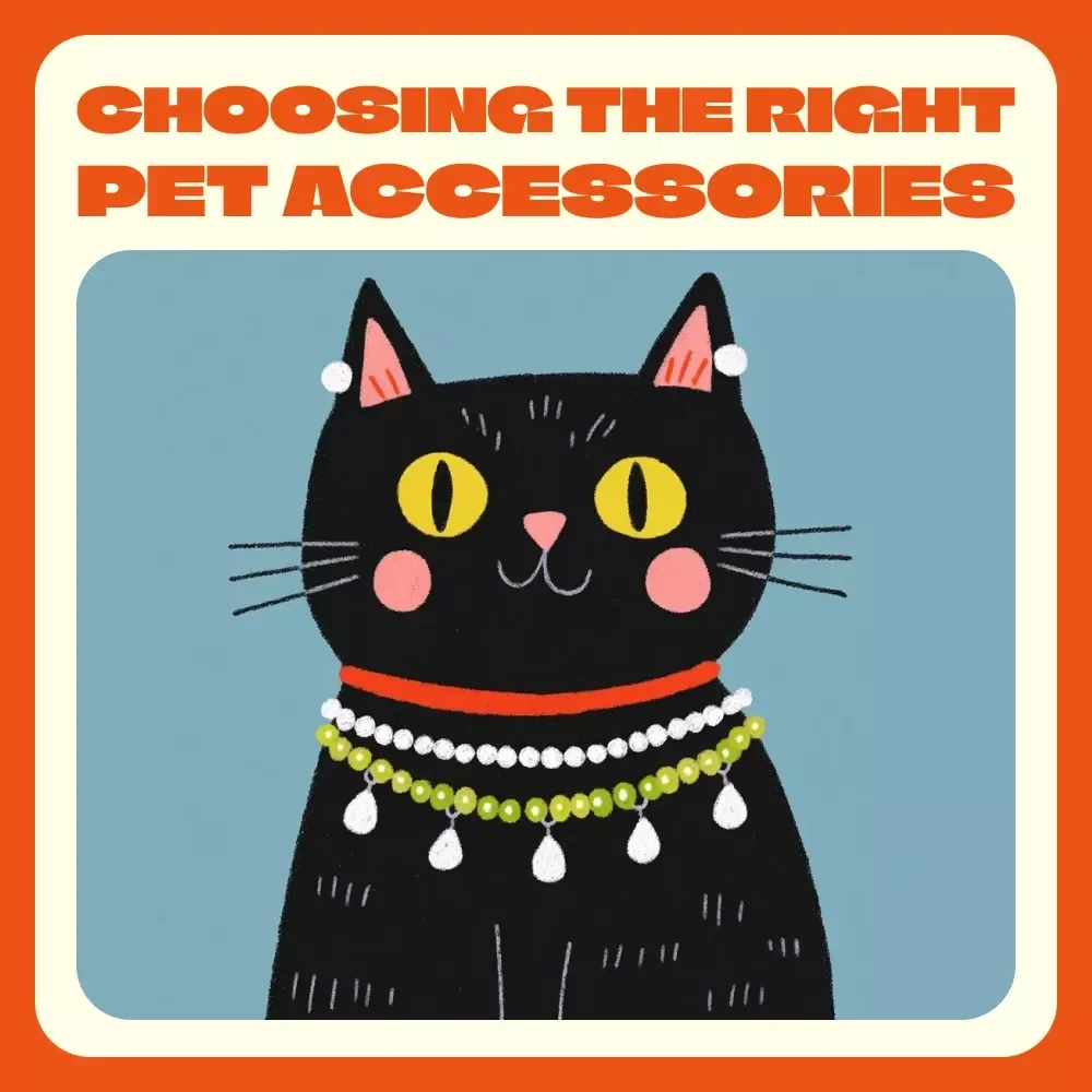 Choosing the Right Pet Accessories | Digital Pet Care Guide | How to Choose the Right Pet Accessories for Comfort, Safety & Fun | AI Tools & Practical Tips for Every Pet Owner