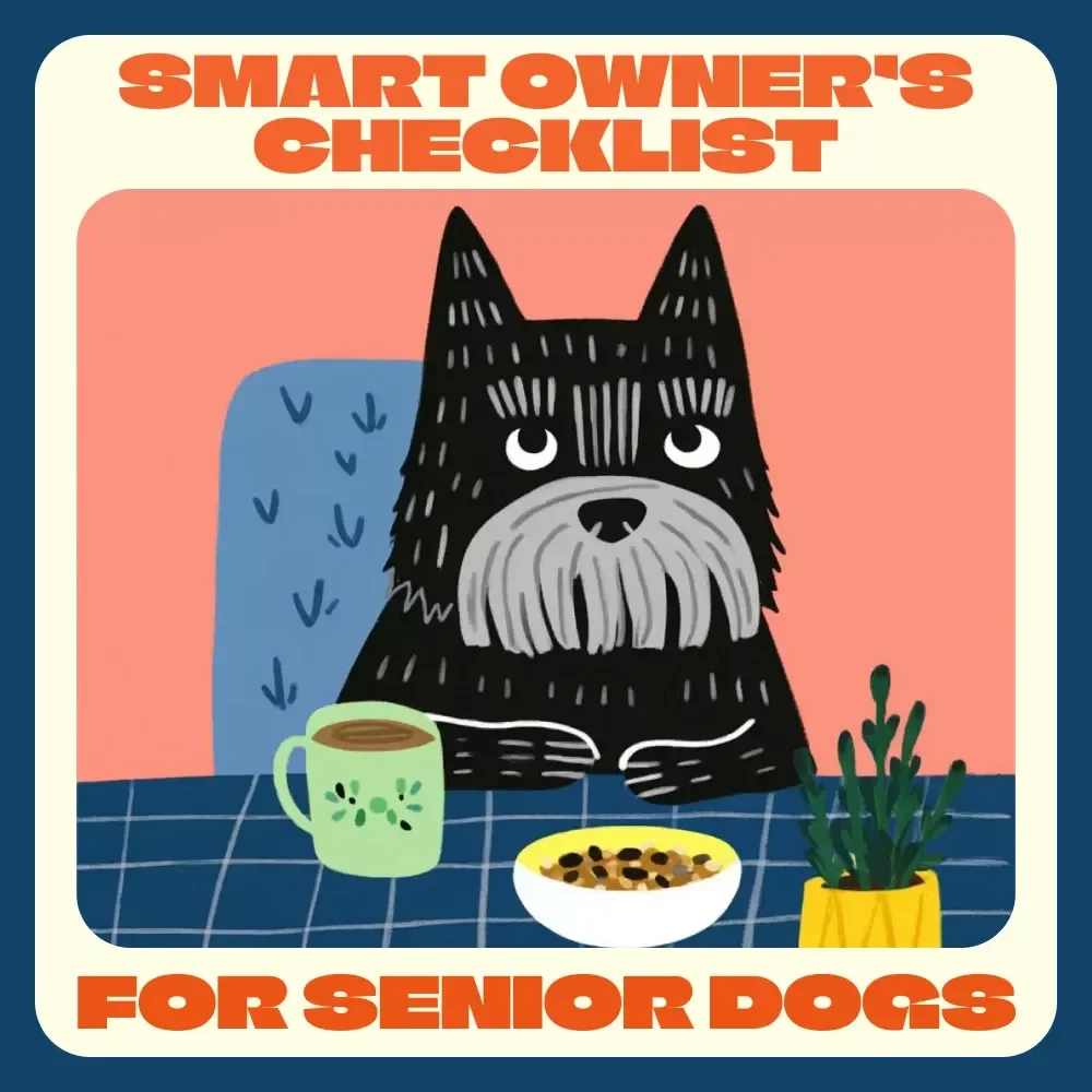 A Smart Owner’s Checklist for Senior Dogs | Digital Pet Care Guide for Aging Pets | Tips for Feeding Senior Dogs | Printable PDF for Dog Lovers