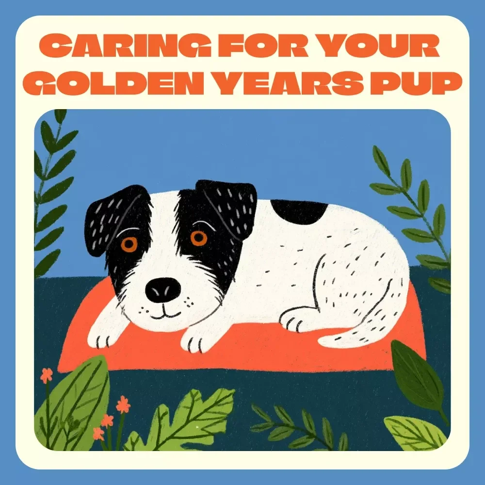 Caring for Your Golden Years Pup | Senior Dog Care Guide, Pet Wellness eBook, Digital Download for Aging Dog Health & Comfort