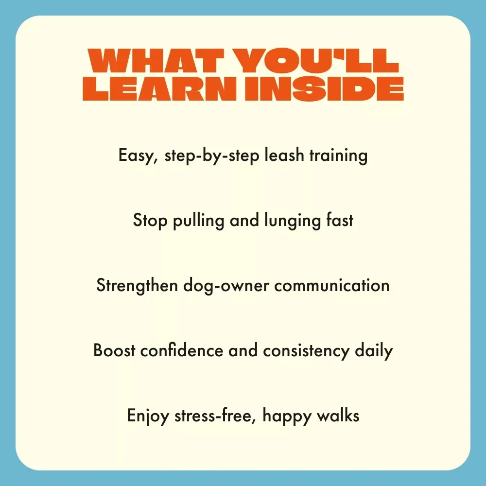 Mastering Leash Training for a Happy Dog | Dog Walking Guide for Beginners | Digital Download for Training Your Dog to Walk on a Leash