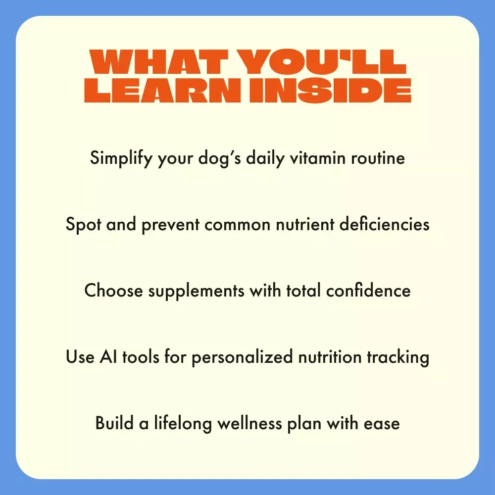 The Vitamin Boost Your Dog Deserves | Digital Guide for Dog Lovers | Essential Vitamins for Dogs eBook | Canine Nutrition & Wellness Made Simple