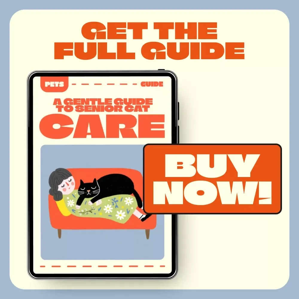 A Gentle Guide to Senior Cat Care | Digital Download eBook for Loving Cat Owners | Senior Cat Care Tips for Nutrition, Comfort & Emotional Wellbeing