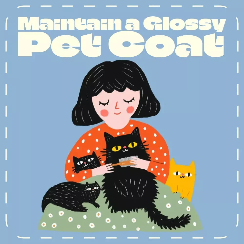 The Checklist to Maintain a Glossy Pet Coat | Printable Pet Care Guide for Pet Owners | Digital Download for How to Keep Pets’ Coat Healthy & Shiny