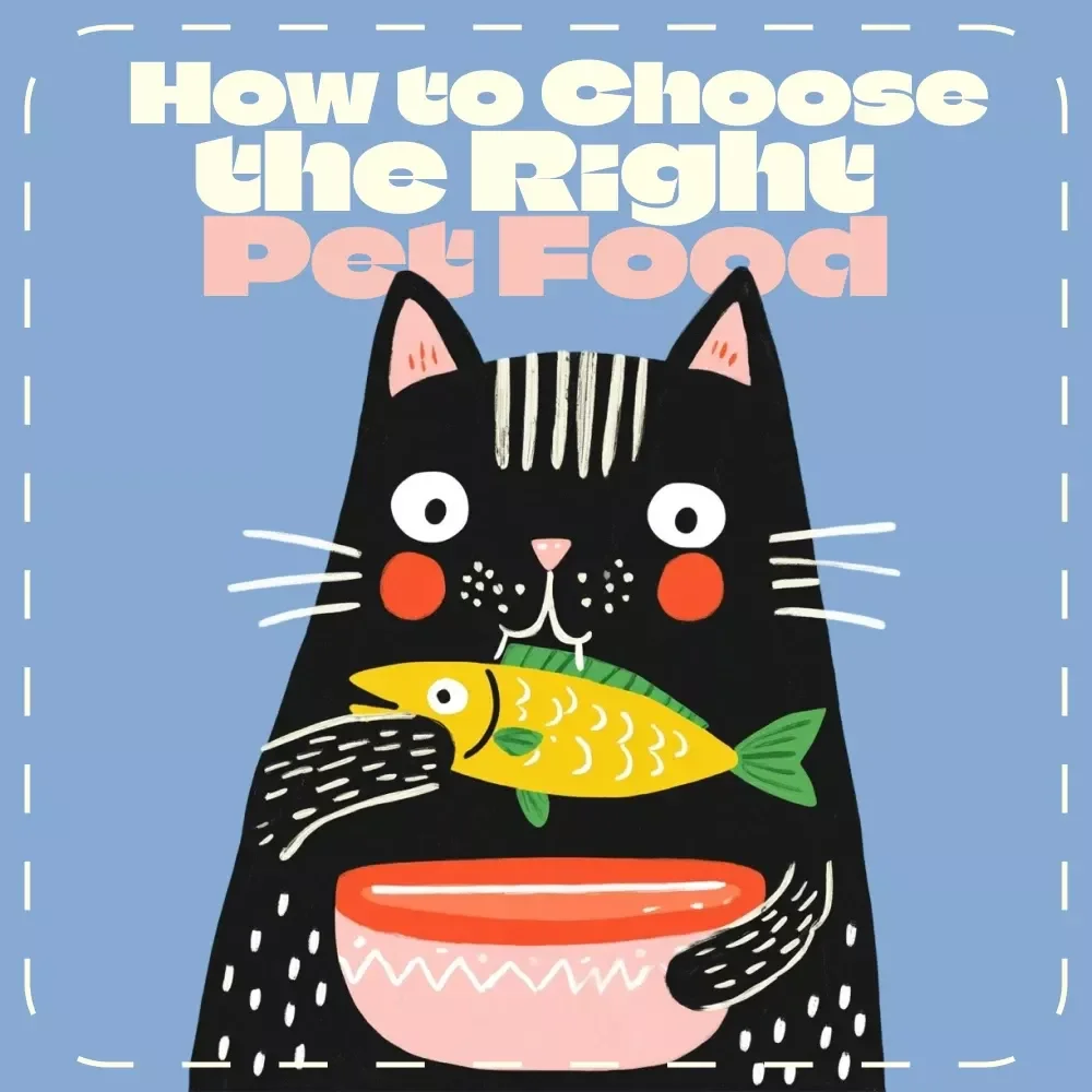 How to Choose the Right Pet Food Checklist | Printable Guide for Dog & Cat Owners | Digital Download | Learn How to Choose the Right Pet Food for Your Pet’s Needs